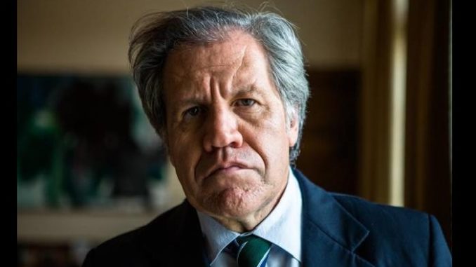 Luis-Almagro1 Almagro