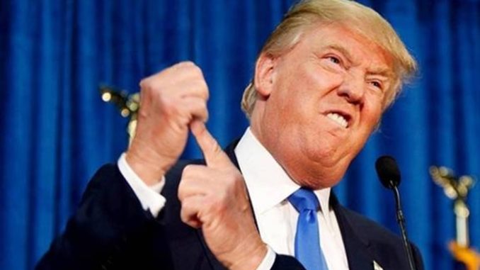 trump transicion Donald Trump