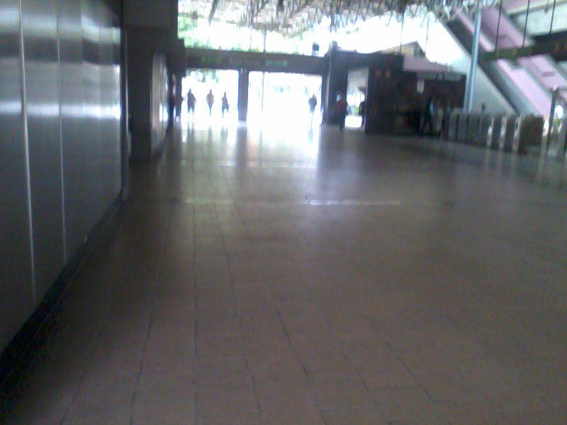plantón