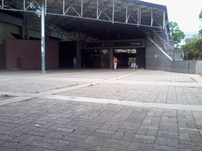 plantón