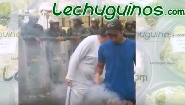 Lechuguinos.com