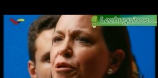 Lechuguinos