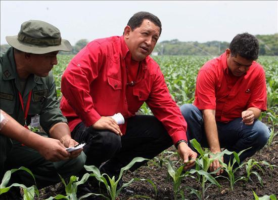 Comandante Hugo Chávez