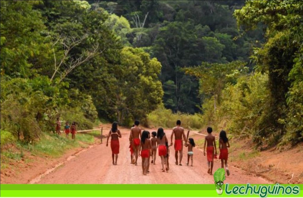 indigenas agricultura congreso de brasil