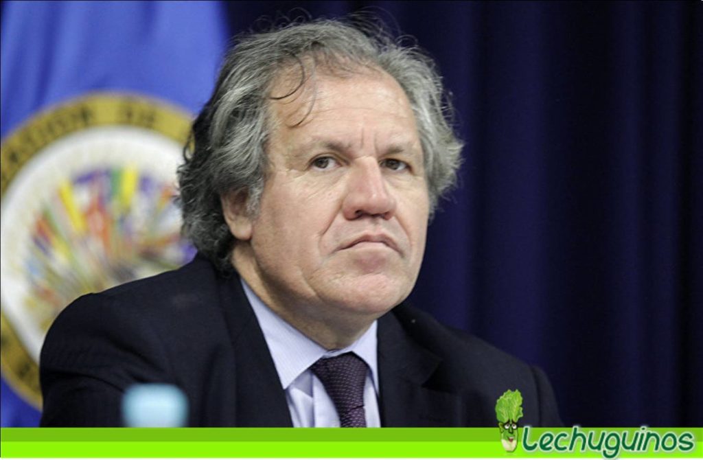 Almagro pidió $ 13 millones por "administrar" recursos que roban a Venezuela