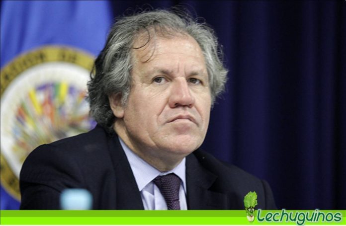 luis almagro bolivar