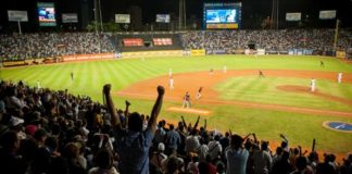 beisbol venezuela