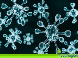 OMS llama a la calma ante mutaciones de Covid-19 en Reino Unido y Sudáfrica