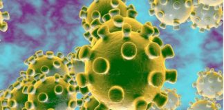 Casi 30 países prohíben vuelos con Reino Unido por temor a nueva variante del coronavirus
