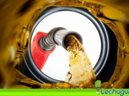 Pdvsa comunica plan de contingencia de gasolina ante las criminales sanciones de EEUU