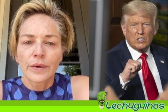Actriz Sharon Stone llamó asesino a Donald Trump