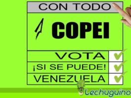 Copei anuncia candidatura para elecciones regionales en siete estados
