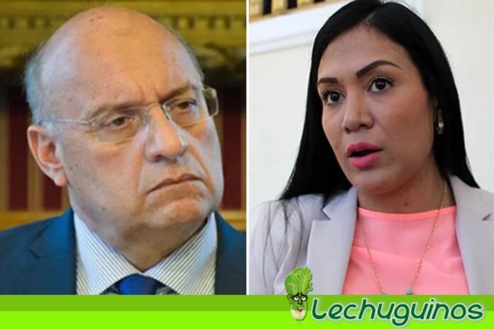 Gobernadora de Táchira sigue en AD aunque Williams Dávila dice que la expulsaron