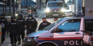 Al menos siete muertos y varios heridos luego de múltiples tiroteos en Viena