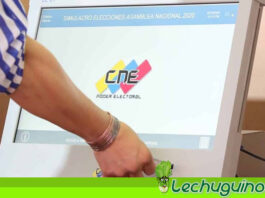 Ceela resaltó confiabilidad de las megaelecciones del 21N