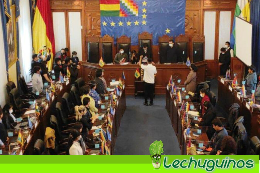 Partido MAS asume presidencia de la Cámara de Senadores de Bolivia