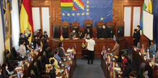 Partido MAS asume presidencia de la Cámara de Senadores de Bolivia