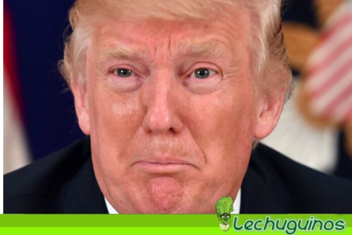 Donald Trump no descarta postularse en 2024 en su vuelta a escena pública