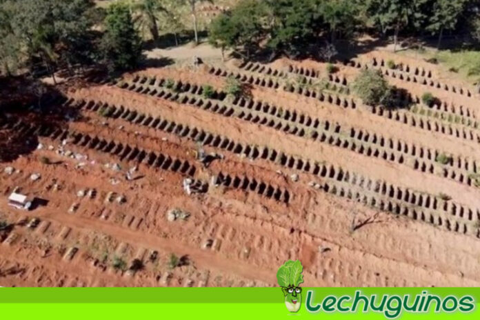 Cavan cientos de tumbas en Brasil ante el aumento de muertes por Covid-19
