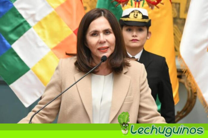 Excanciller de Janine Áñez revela nuevos actos de corrupción