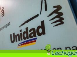Candidatos de la oposición para las elecciones regionales son unos chulos y ladrones MUD