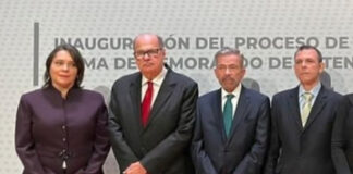 Representante de Guaidó en México tiene vínculos con operación Gedeón