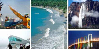 Sector turismo en Venezuela ha tenido un importante crecimiento