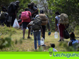ONU confirmo que desplazamiento en Colombia ha incrementado debido a la violencia