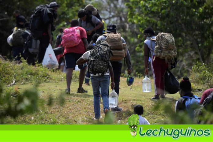 ONU confirmo que desplazamiento en Colombia ha incrementado debido a la violencia