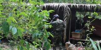FANB desactivó 12 explosivos en depósito utilizado por los TANCOL en Apure