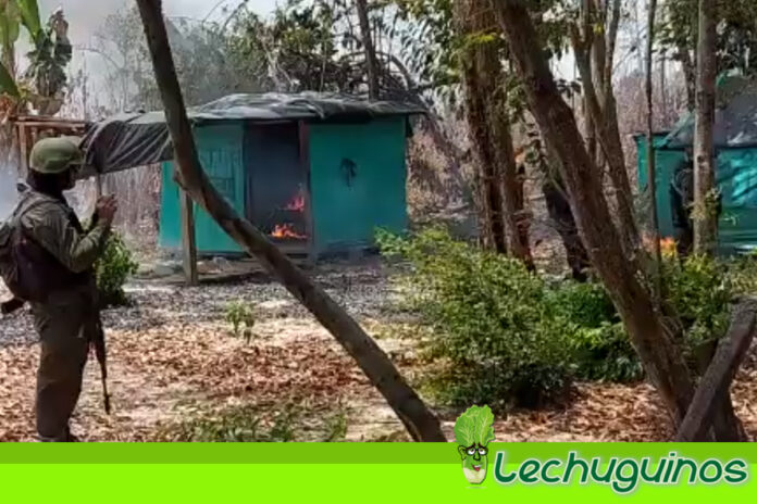 FANB destruye campamento de grupos armados colombianos en el Zulia