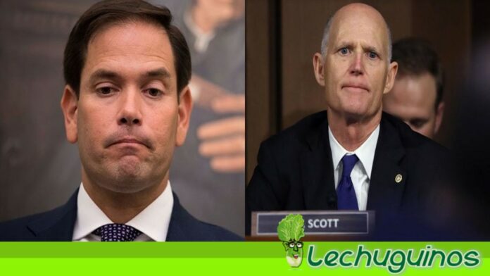 Marco Rubio y Rick Scott