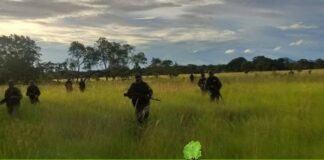 Efectivos de la Fuerza Armada Nacional Bolivariana (FANB) destruye campamento Tancol, n el municipio Arismendi del estado Sucre.