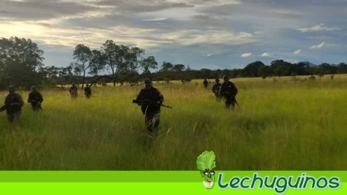 Efectivos de la Fuerza Armada Nacional Bolivariana (FANB) destruye campamento Tancol, n el municipio Arismendi del estado Sucre.