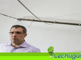 Alfredo Meza, co-fundador de armandoinfo