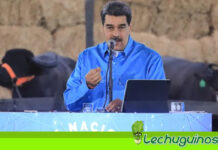 Presidente Maduro pondrá mano dura contra banda de corruptos